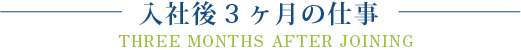 入社3ヶ月後の仕事